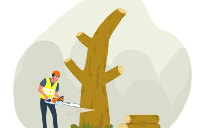 Quelles mesures de sécurité pour abattre un arbre ?